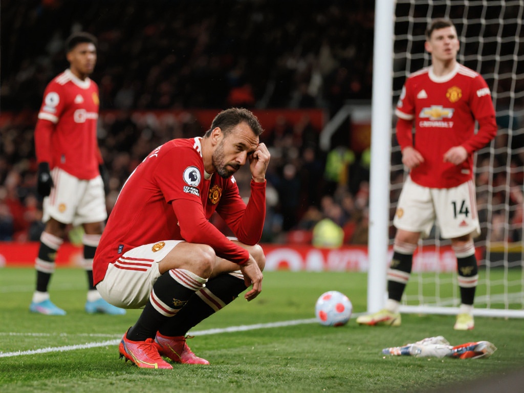 使玩家真正 使玩家真正