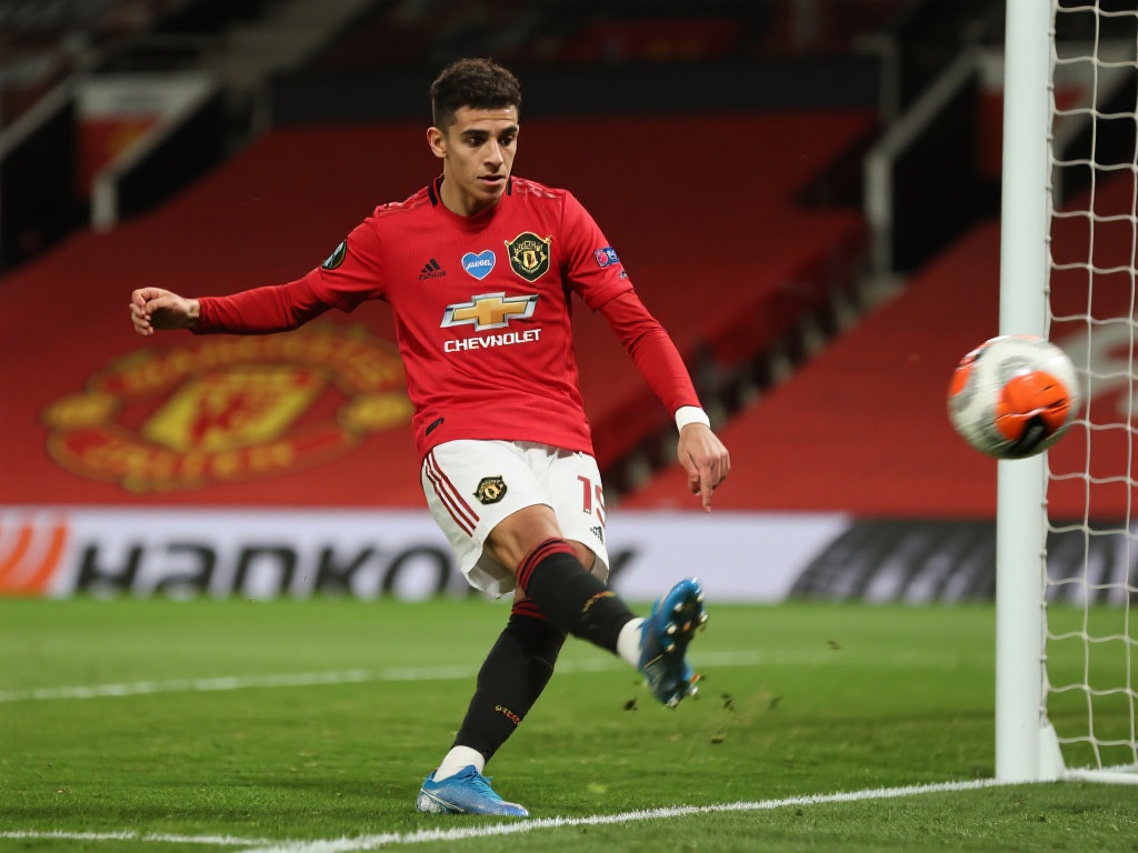 少需要在以 少需要在以